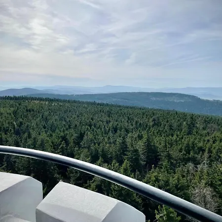 Pod Wielką Sową Z Sauną Infrared *