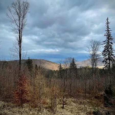 Pod Wielką Sową Z Sauną Infrared Apartament *