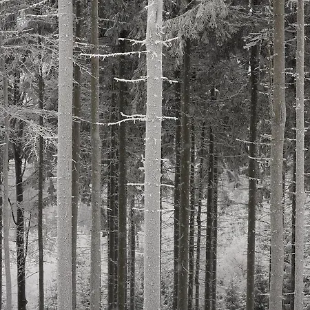 Apartament Pod Wielką Sową Z Sauną Infrared Pieszyce