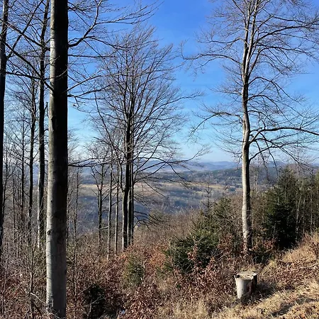 Pod Wielką Sową Z Sauną Infrared *