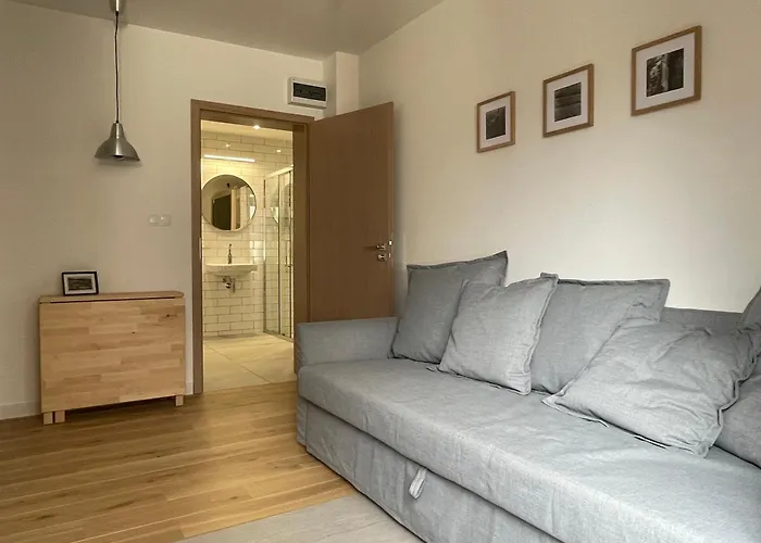 Pod Wielka Sowa Z Sauna Infrared