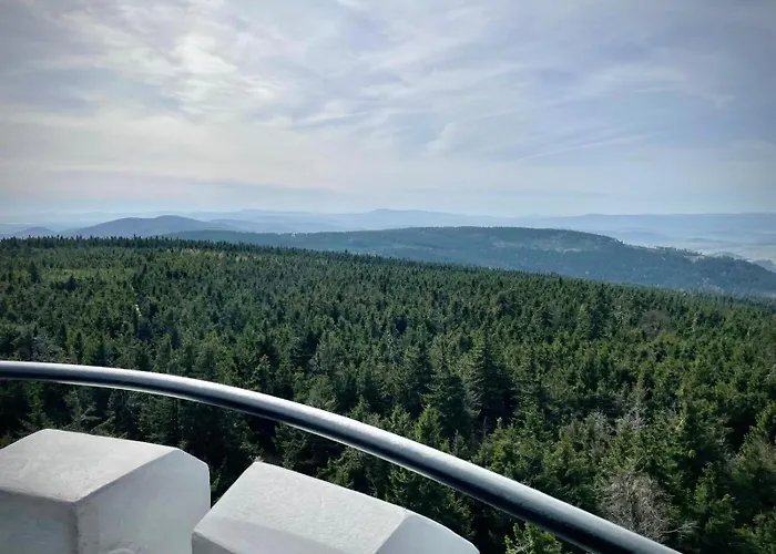 Pod Wielka Sowa Z Sauna Infrared *