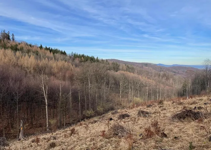 Pod Wielka Sowa Z Sauna Infrared Apartment