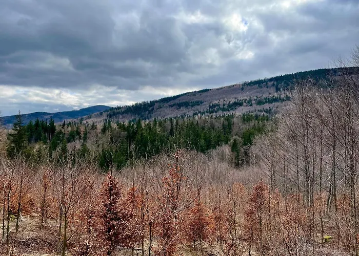 Pod Wielka Sowa Z Sauna Infrared *