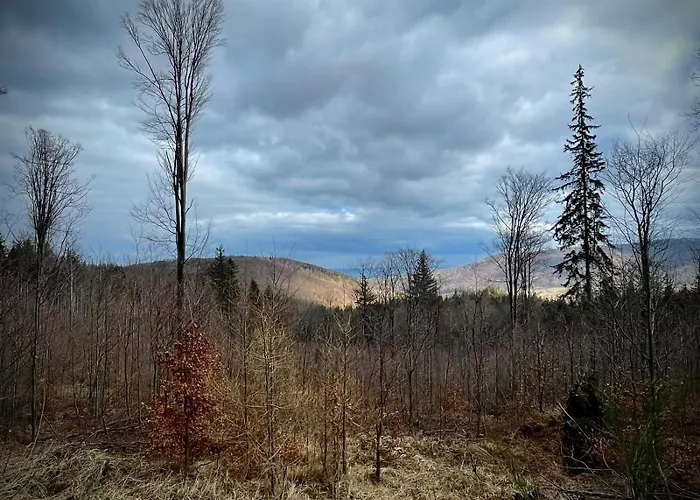 Pod Wielka Sowa Z Sauna Infrared Apartment *