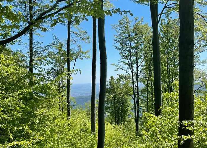 Pod Wielka Sowa Z Sauna Infrared Pieszyce