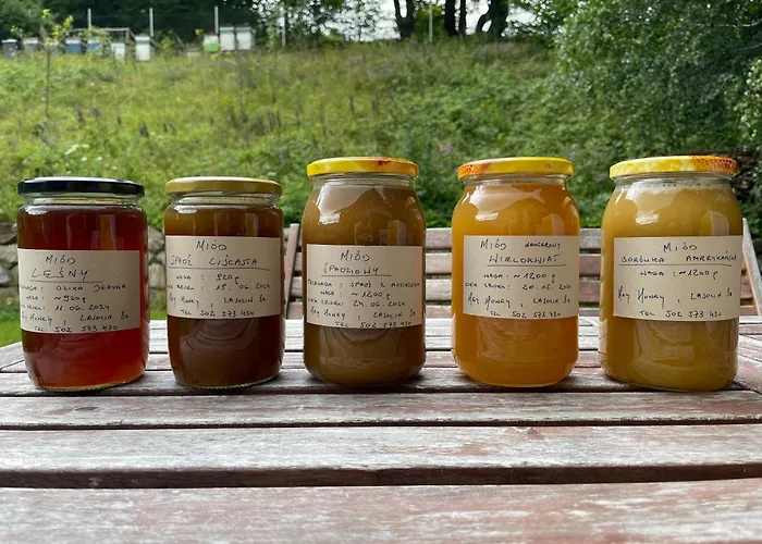 Pod Wielka Sowa Z Sauna Infrared