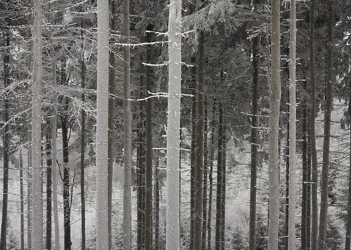 Apartment Pod Wielka Sowa Z Sauna Infrared Pieszyce