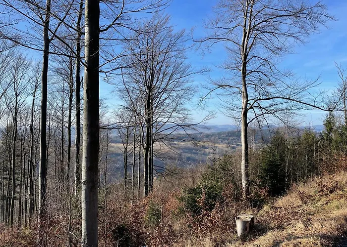 Pod Wielka Sowa Z Sauna Infrared *